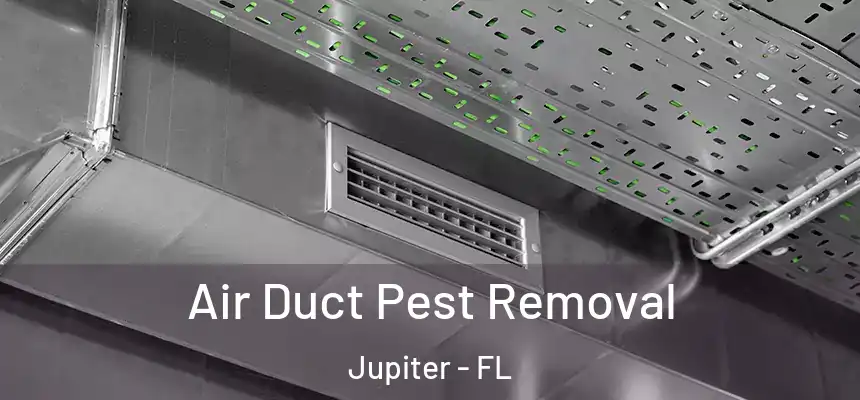 Air Duct Pest Removal Jupiter - FL