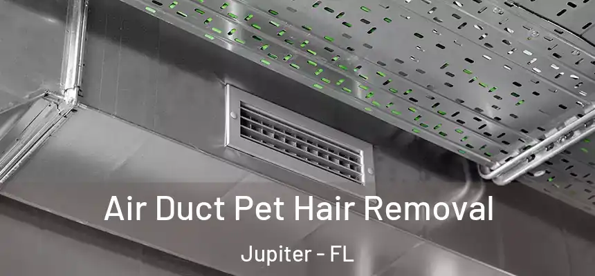Air Duct Pet Hair Removal Jupiter - FL