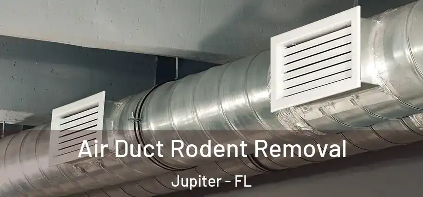 Air Duct Rodent Removal Jupiter - FL