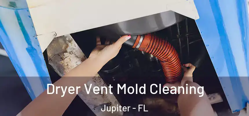 Dryer Vent Mold Cleaning Jupiter - FL