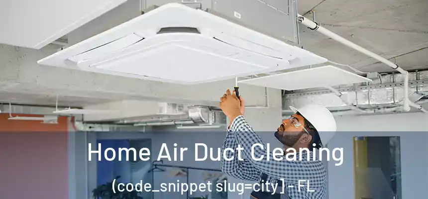  Home Air Duct Cleaning (code_snippet slug=city] - FL
