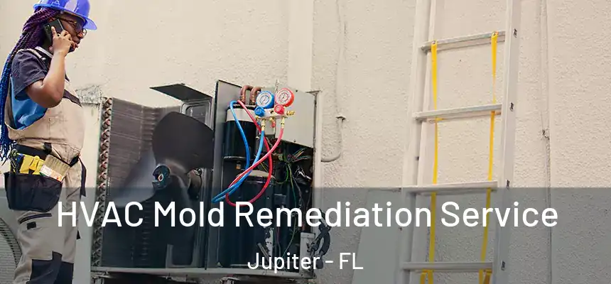 HVAC Mold Remediation Service Jupiter - FL
