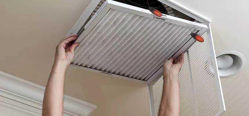 Preventive Cockroach-Proofing for Ducts in Jupiter