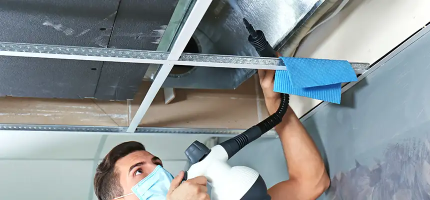 Our Air Duct Rodent Removal Services in Jupiter, FL