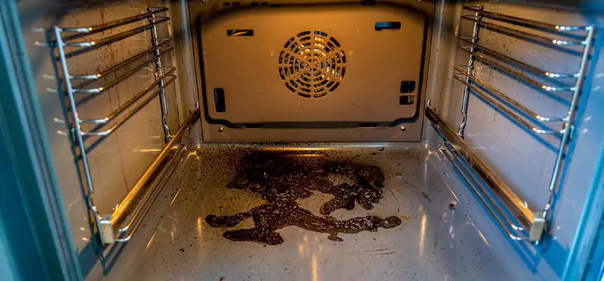 Our Dryer Vent Mold Cleaning Services in Jupiter, FL