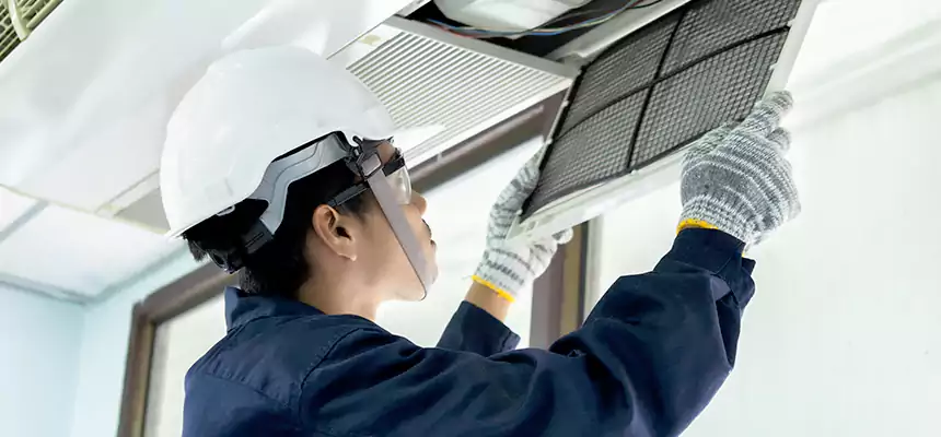 Our Mold & Mildew Removal from Air Ducts Services in Jupiter, FL