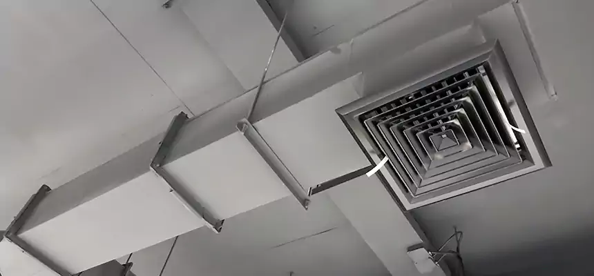 Our Rodent Droppings In Vents Services in Jupiter, FL