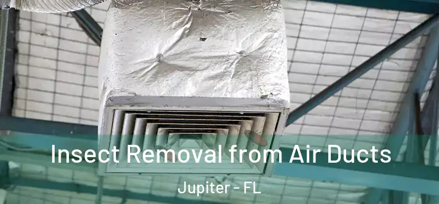 Insect Removal from Air Ducts Jupiter - FL