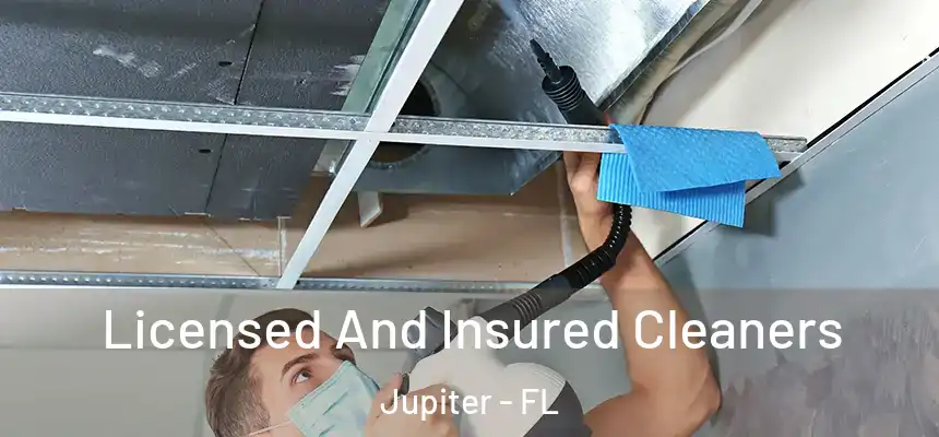 Licensed And Insured Cleaners Jupiter - FL