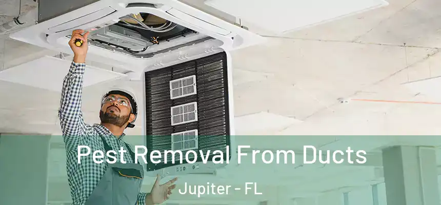 Pest Removal From Ducts Jupiter - FL