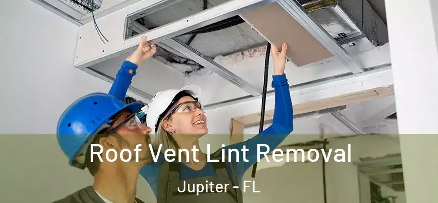  Roof Vent Lint Removal Jupiter - FL
