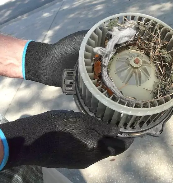 About Air Duct Mice Removal in Jupiter, FL