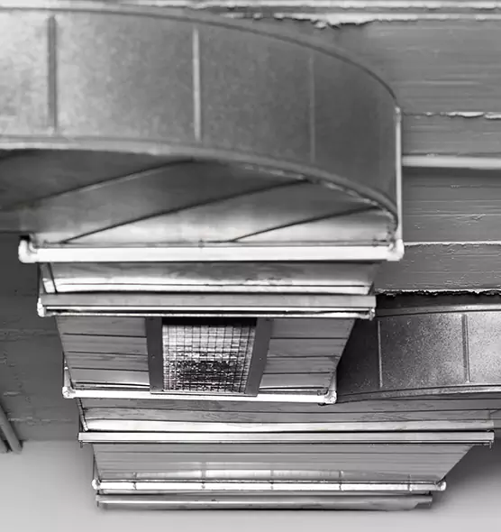 Professional Air Duct Pest Removal in Jupiter, FL