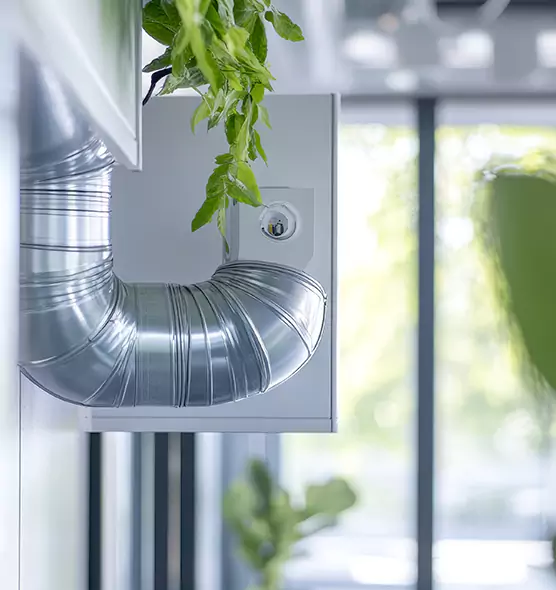 Professional Eco-Friendly Duct Cleaning Services in Jupiter, FL