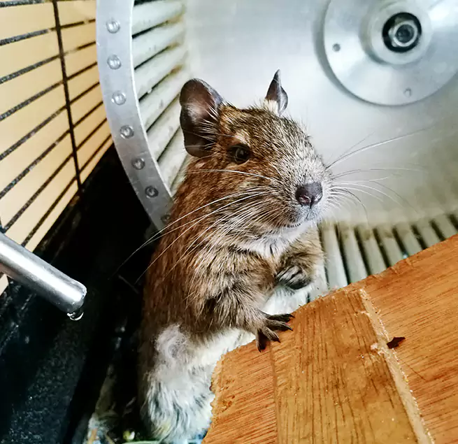 Why Homeowners & Businesses Trust Us Jupiter, FL?