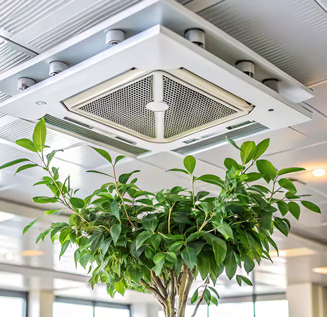 Why Homeowners & Businesses Trust Us in Jupiter, FL?