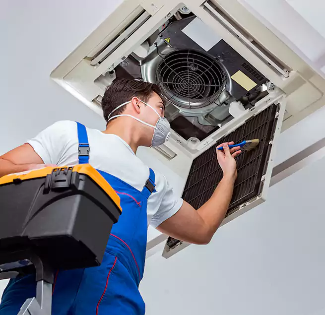 Why Homeowners & Businesses Trust Us in Jupiter, FL?