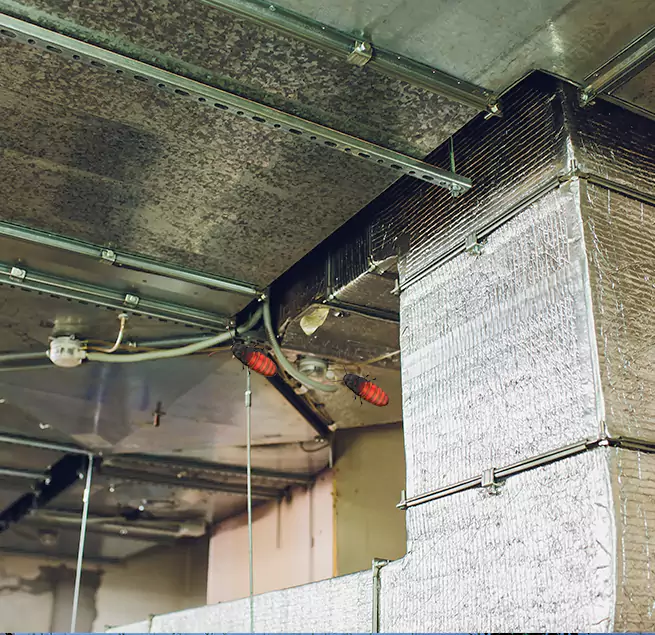 Why Homeowners & Businesses Trust Us Jupiter, FL?