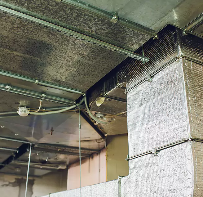 Why Homeowners & Businesses Trust Us in Jupiter, FL?