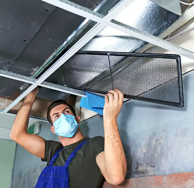 Why Homeowners Businesses Trust Us in Jupiter, FL